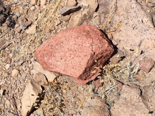This is an example of a spectacular broken granite metate found laying out on topsoil at the Sanchez site. This was just one of many artifacts scattered all threw out the site.