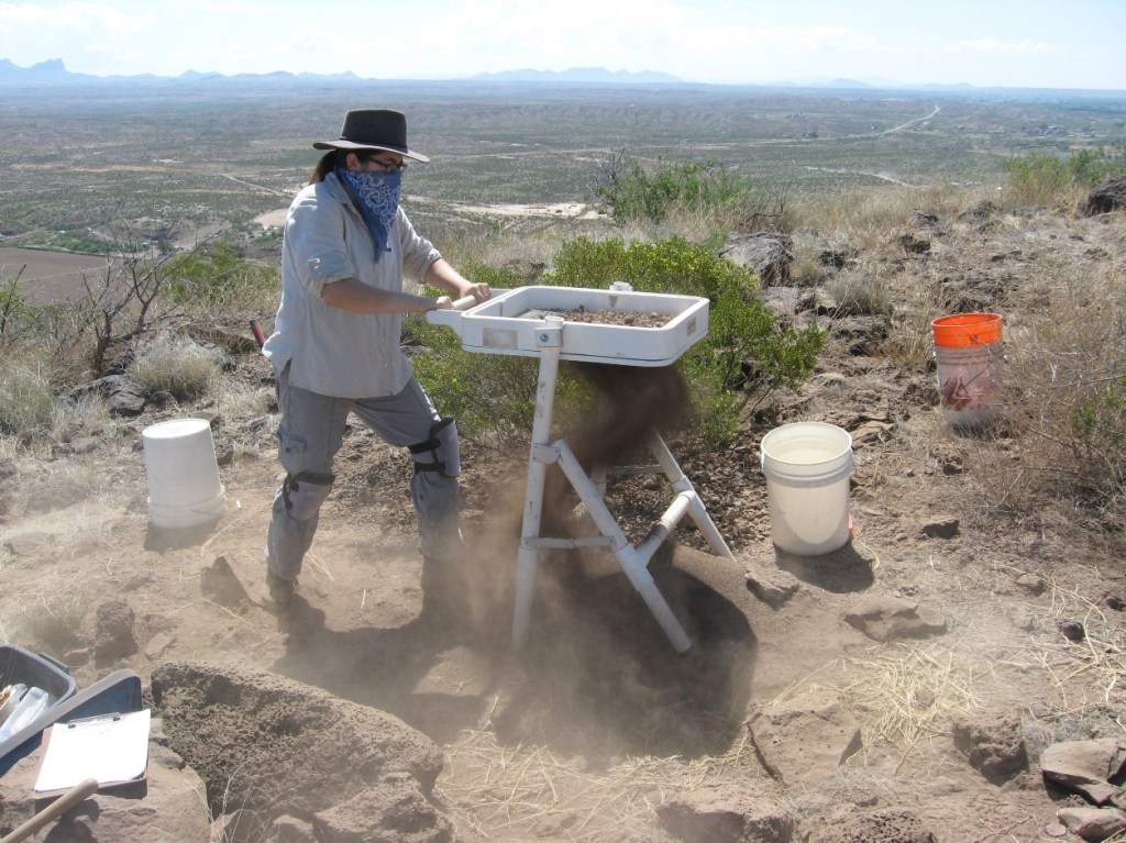 Here I am "creating a blast of dirt" while screening the unit's dirt.