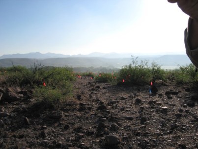 The flags seen in the photo were used to mark the location of pottery sherds. Not pictured, the several rattlesnakes that inhabit the ruins. 