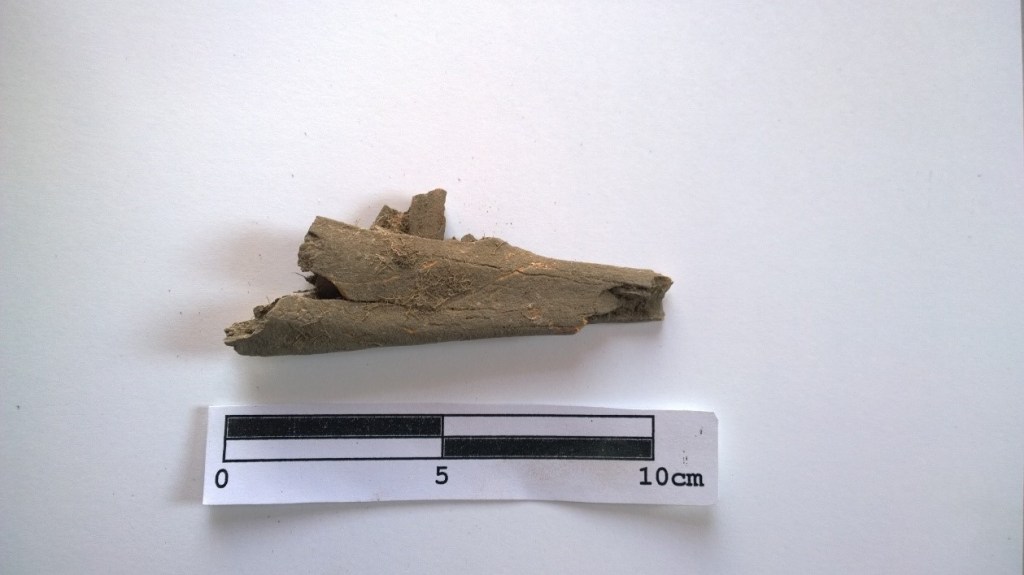 Unidentified mammal bone fragment from AZ:CC:4:63 (ASM)
